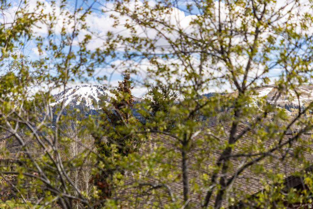 3004 MEADOWS DR Park City, UT 84060