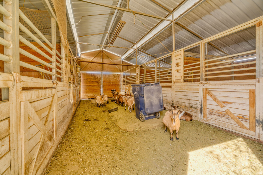 1467 E PIMLICO PL Sandy, UT 84092