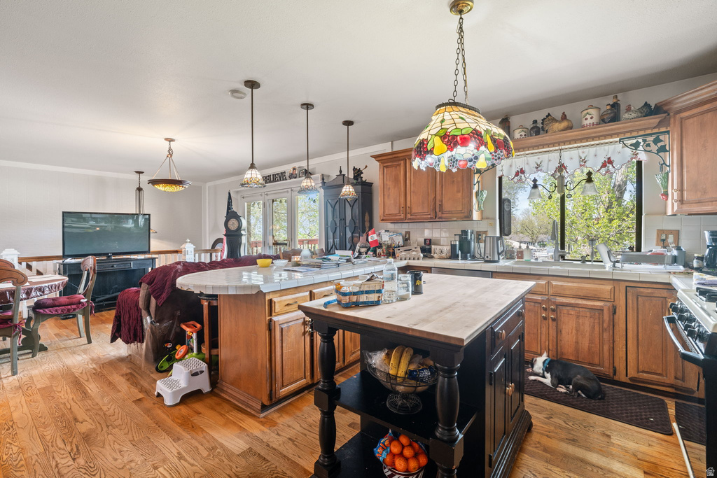 1467 E PIMLICO PL Sandy, UT 84092