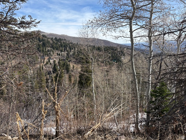 2185 S UINTAH VIEW DR Wanship, UT 84017