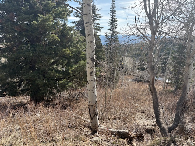 2185 S UINTAH VIEW DR Wanship, UT 84017