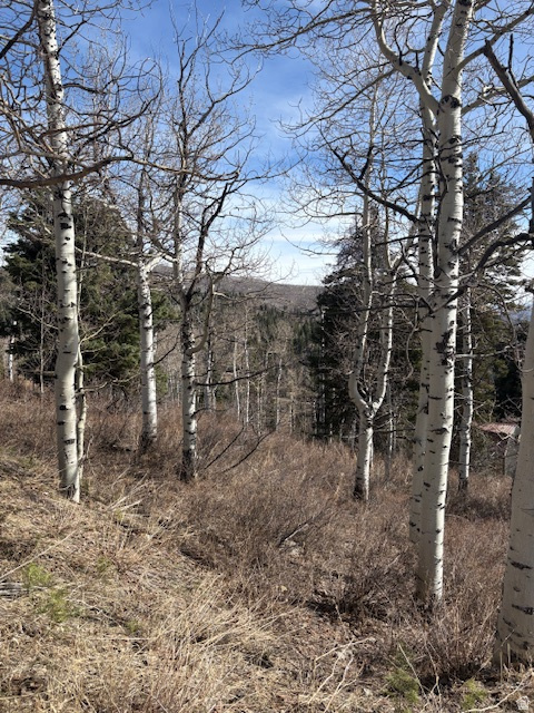 2185 S UINTAH VIEW DR Wanship, UT 84017