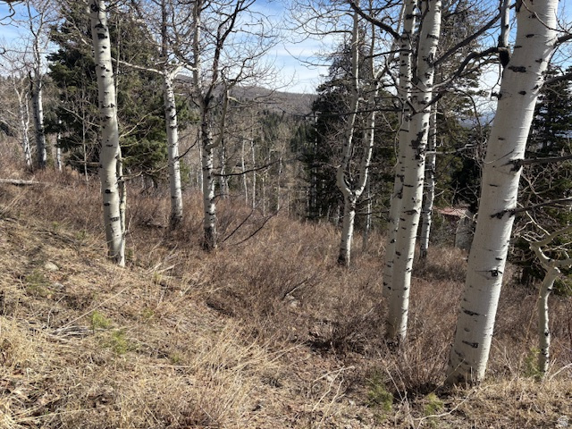 2185 S UINTAH VIEW DR Wanship, UT 84017