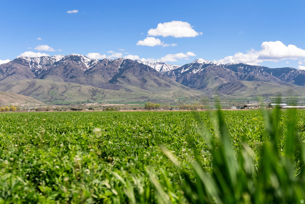 553 SOUTH MAIN ST Lewiston, UT 84320