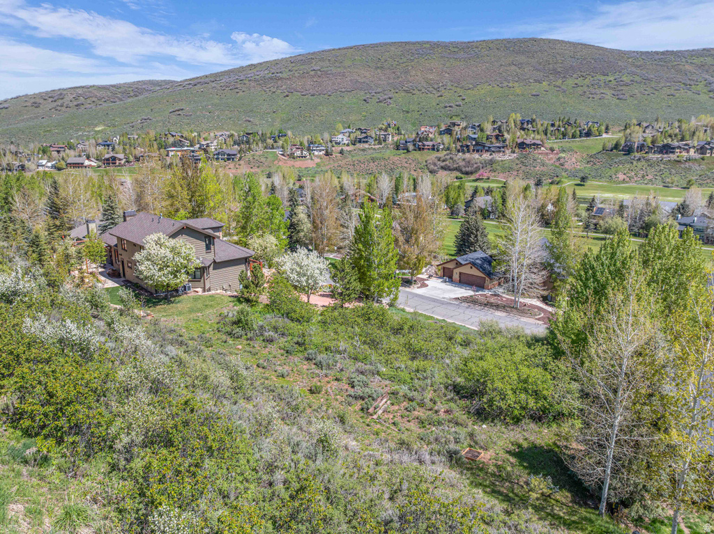 3161  HOMESTEAD RD Park City, UT 84098