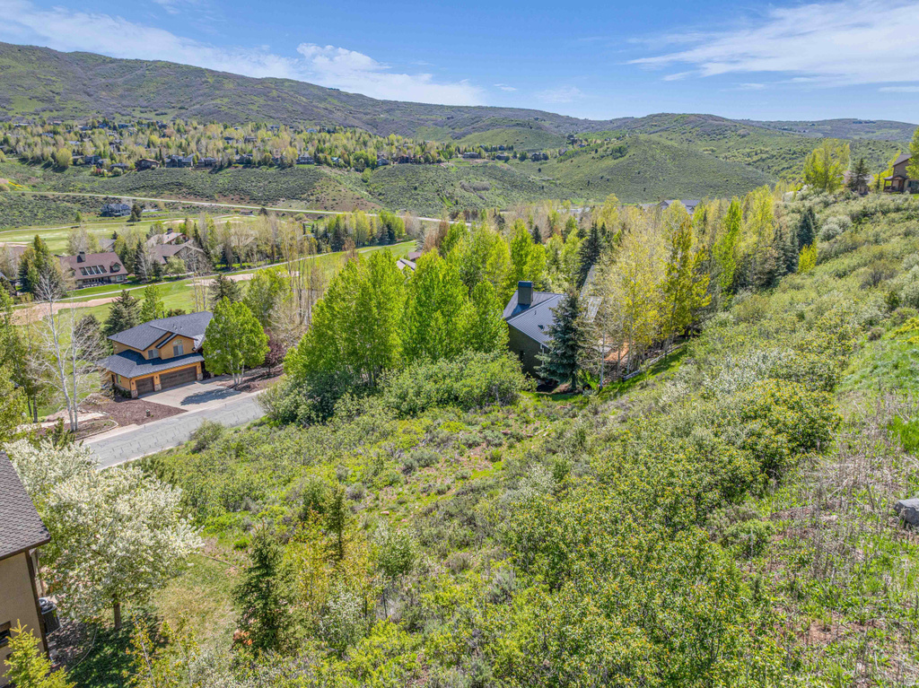 3161  HOMESTEAD RD Park City, UT 84098