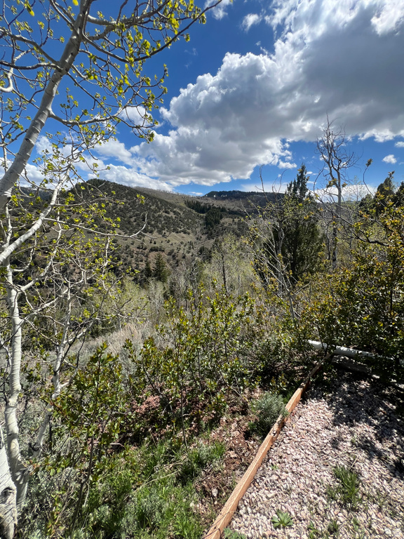 #18 Paradise, UT 84328