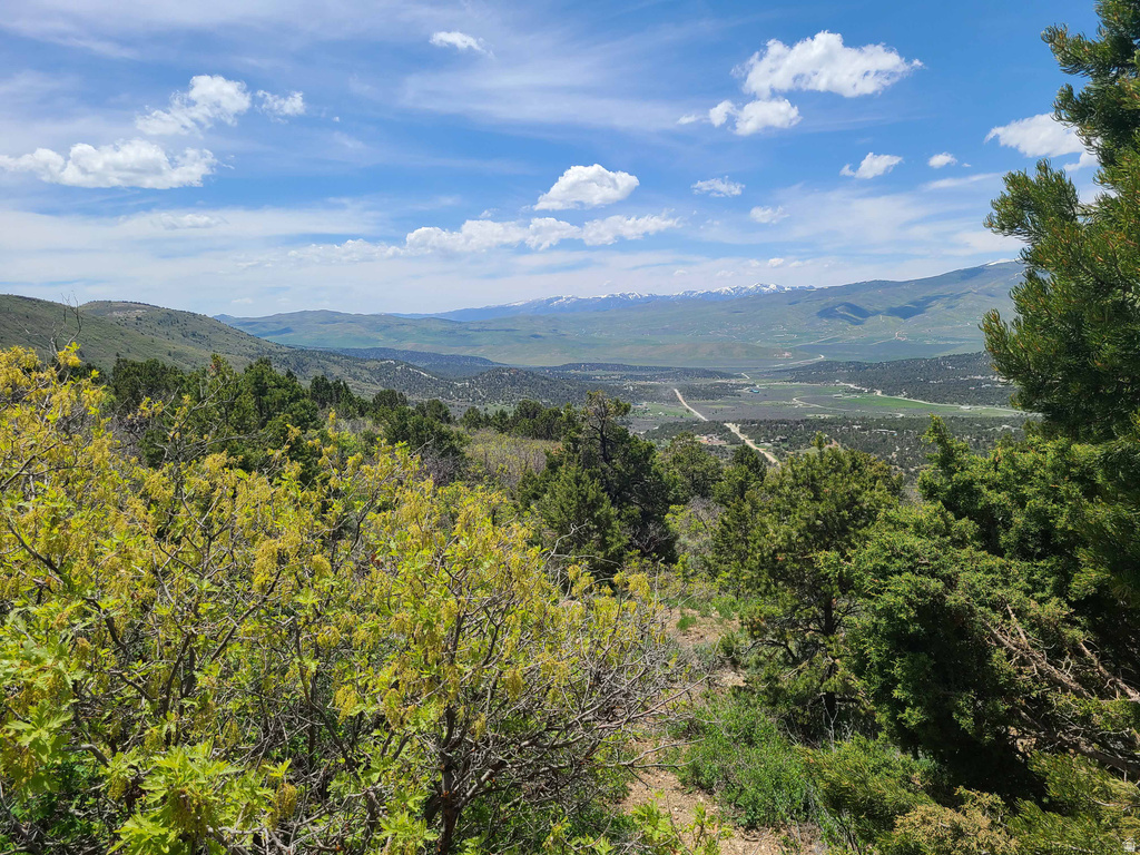 300 E SKY CREST DR Indianola, UT 84629