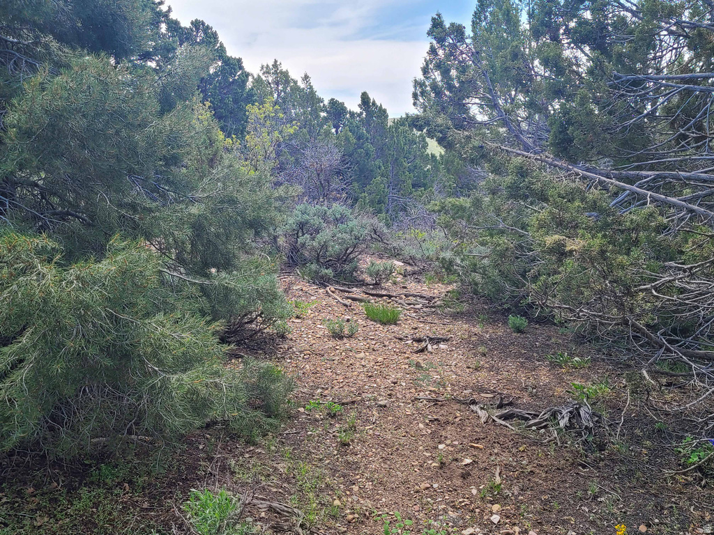 300 E SKY CREST DR Indianola, UT 84629