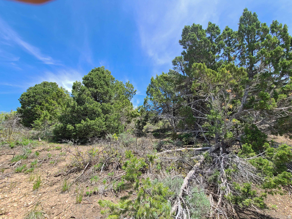 300 E SKY CREST DR Indianola, UT 84629