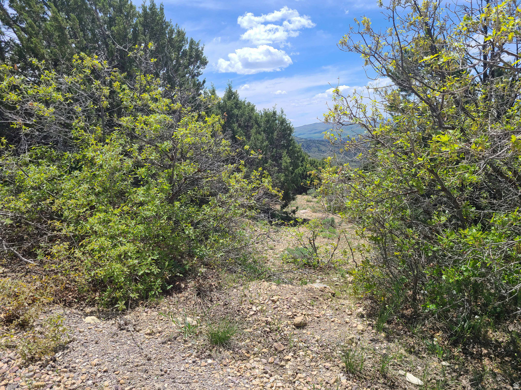 300 E SKY CREST DR Indianola, UT 84629