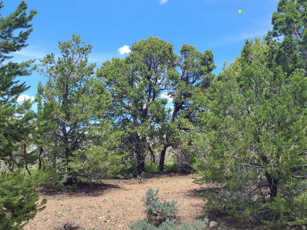 300 E SKY CREST DR Indianola, UT 84629