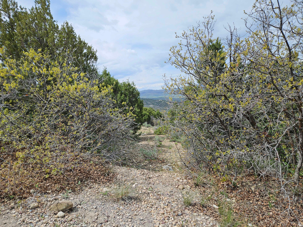 300 E SKY CREST DR Indianola, UT 84629