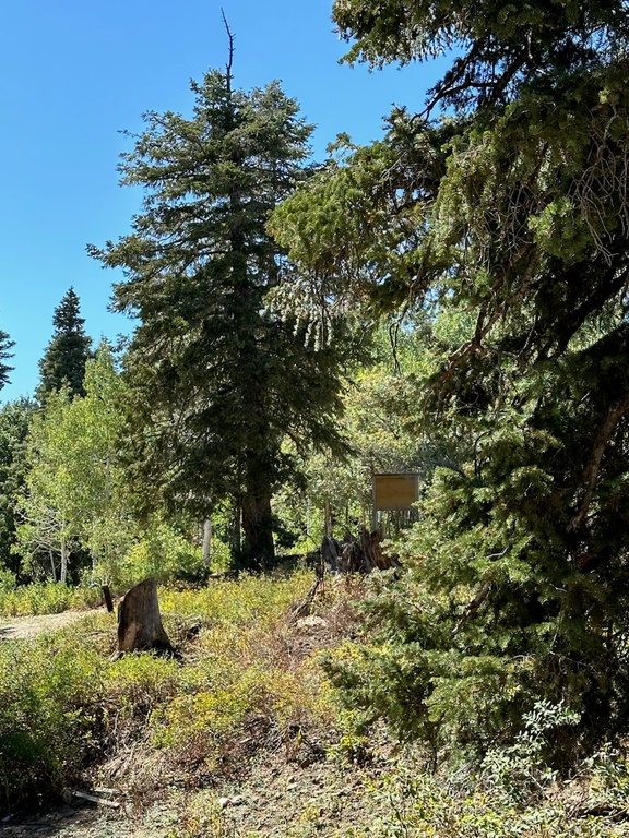 1456 W NAVAJO RD Wanship, UT 84017