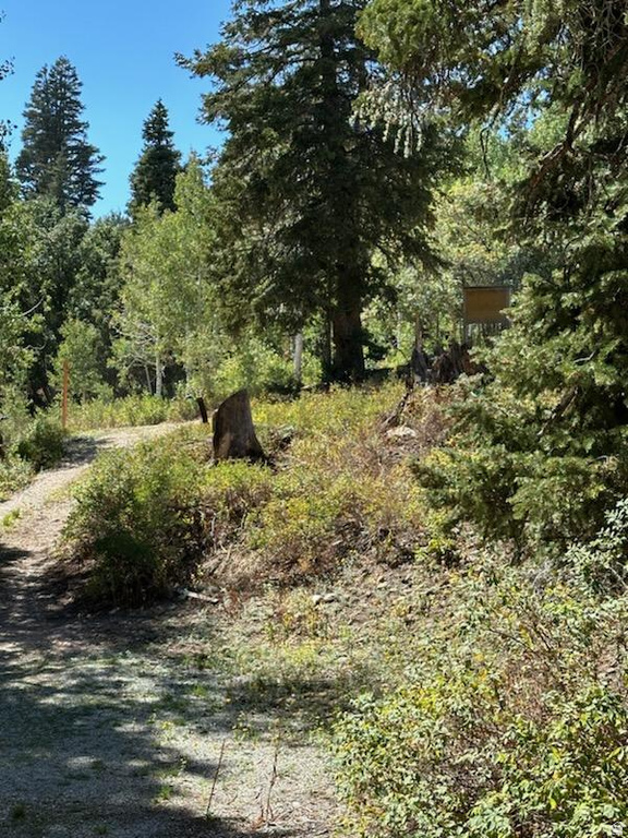 1456 W NAVAJO RD Wanship, UT 84017