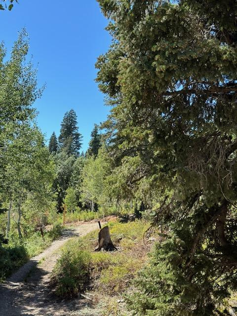 1456 W NAVAJO RD Wanship, UT 84017