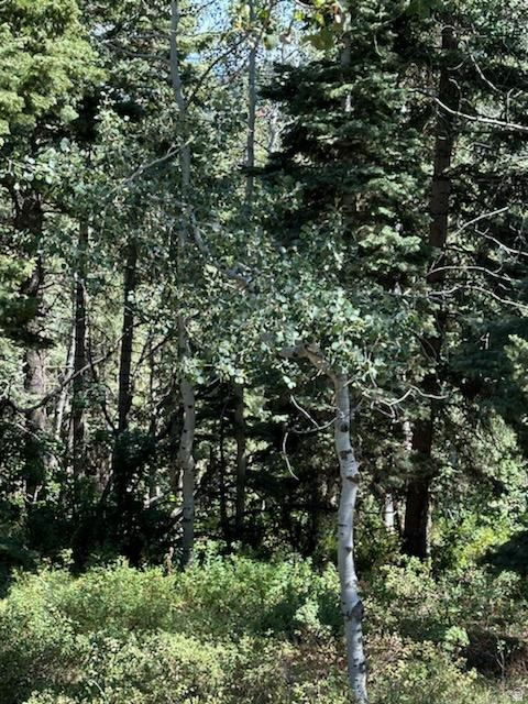 1456 W NAVAJO RD Wanship, UT 84017