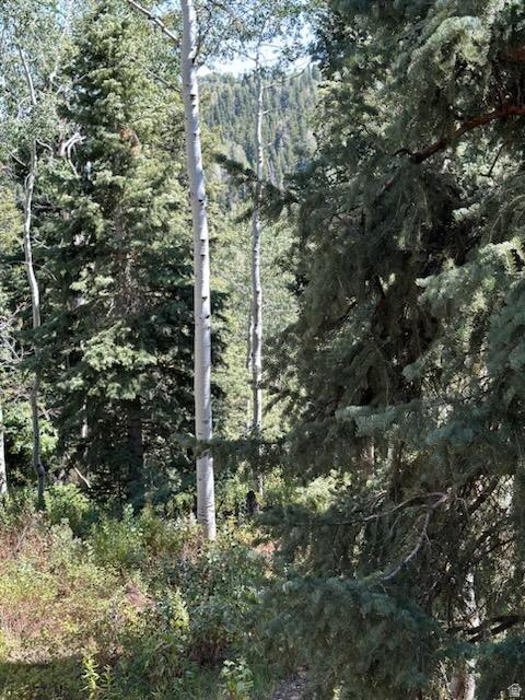 1456 W NAVAJO RD Wanship, UT 84017