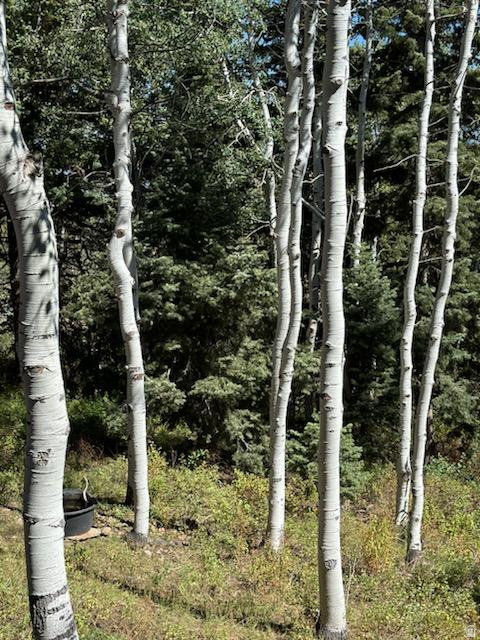 1456 W NAVAJO RD Wanship, UT 84017