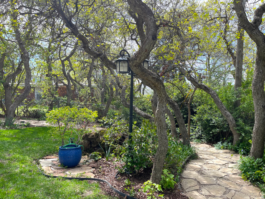 3838 S 2900 E Millcreek, UT 84109