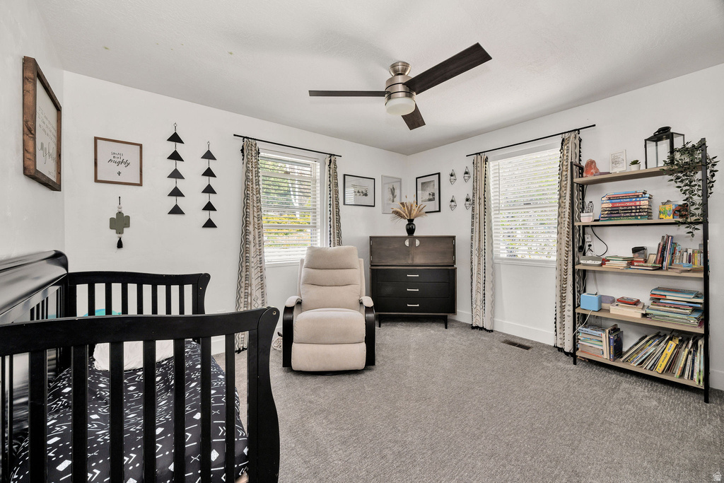 3951 N 550 W Pleasant View, UT 84414