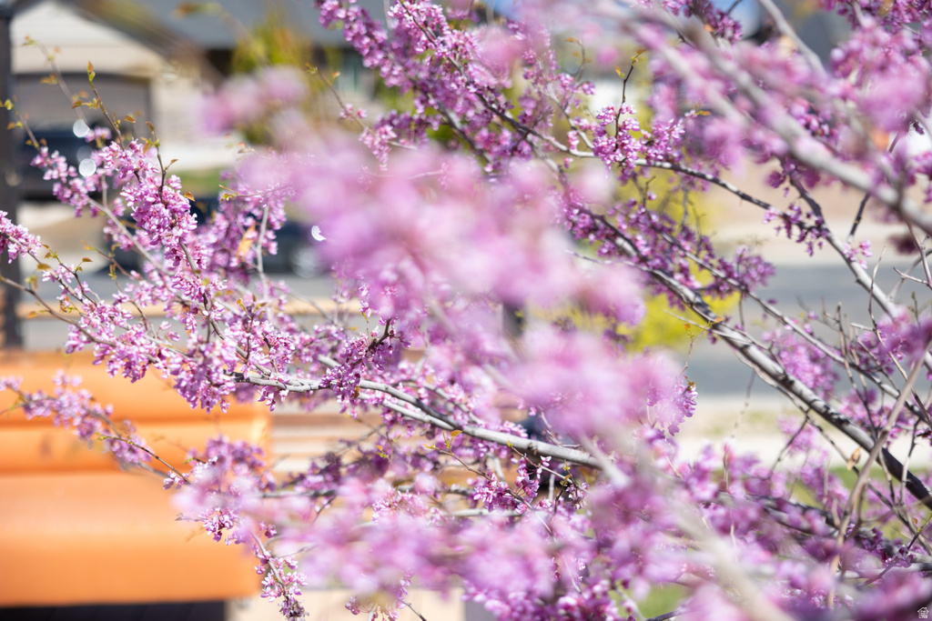 3789 S 330 W Vernal, UT 84078