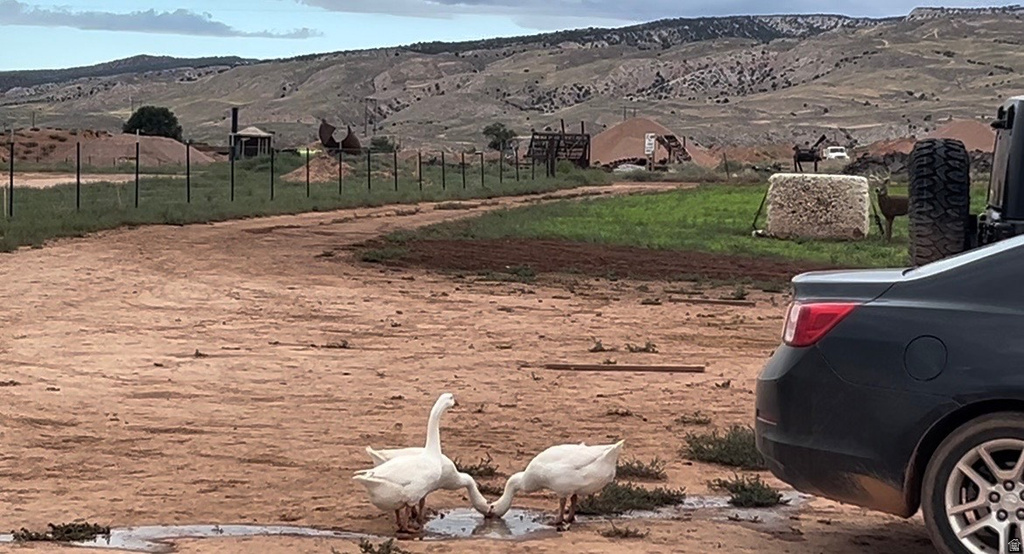 2890 N 2330 E Richfield, UT 84701