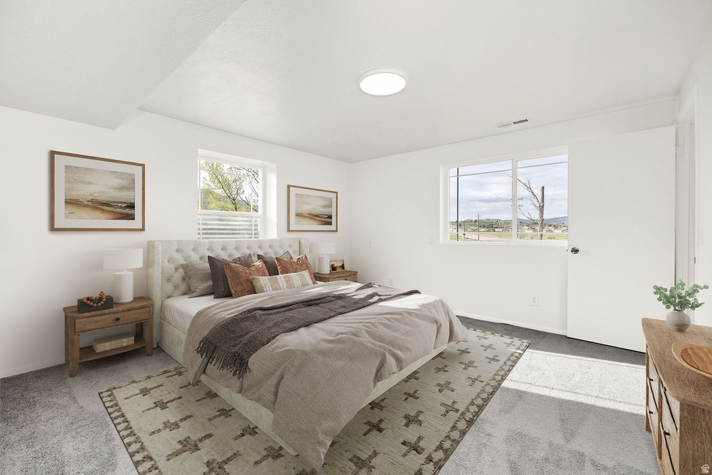 Carpeted room with white walls, two windows, and a flush-mount ceiling light