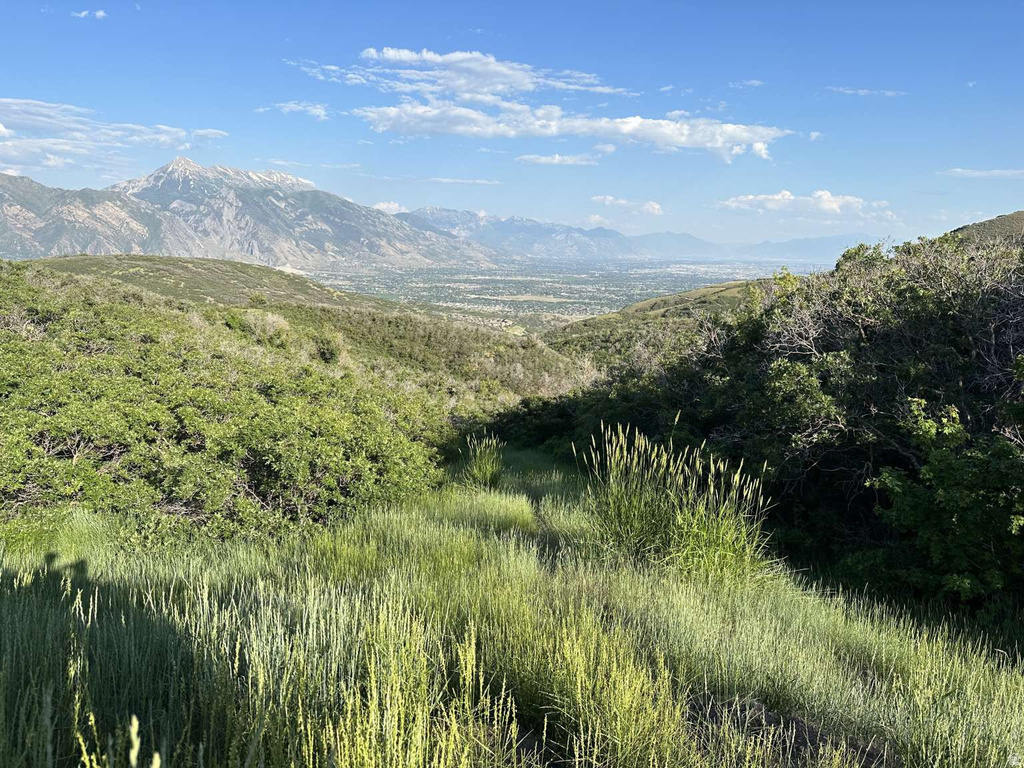 1909 E LONGBRANCH DR Draper, UT 84020