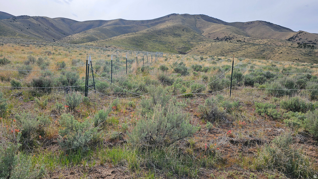 25  STANSBURY AGRICULTURAL PROPERT Grantsville, UT 84029