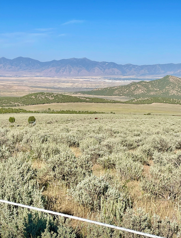 25  STANSBURY AGRICULTURAL PROPERT Grantsville, UT 84029
