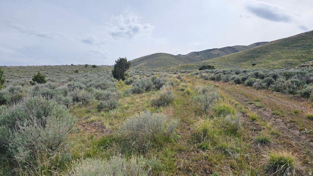 25  STANSBURY AGRICULTURAL PROPERT Grantsville, UT 84029
