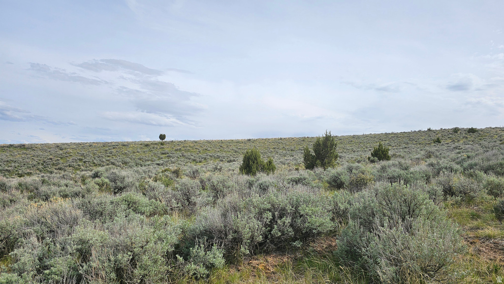 25  STANSBURY AGRICULTURAL PROPERT Grantsville, UT 84029