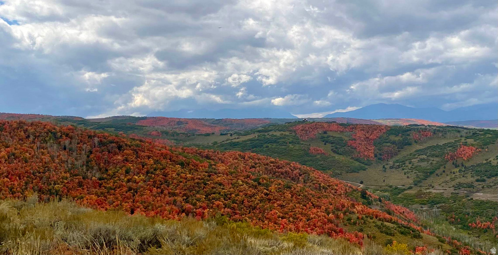  Woodland, UT 84036