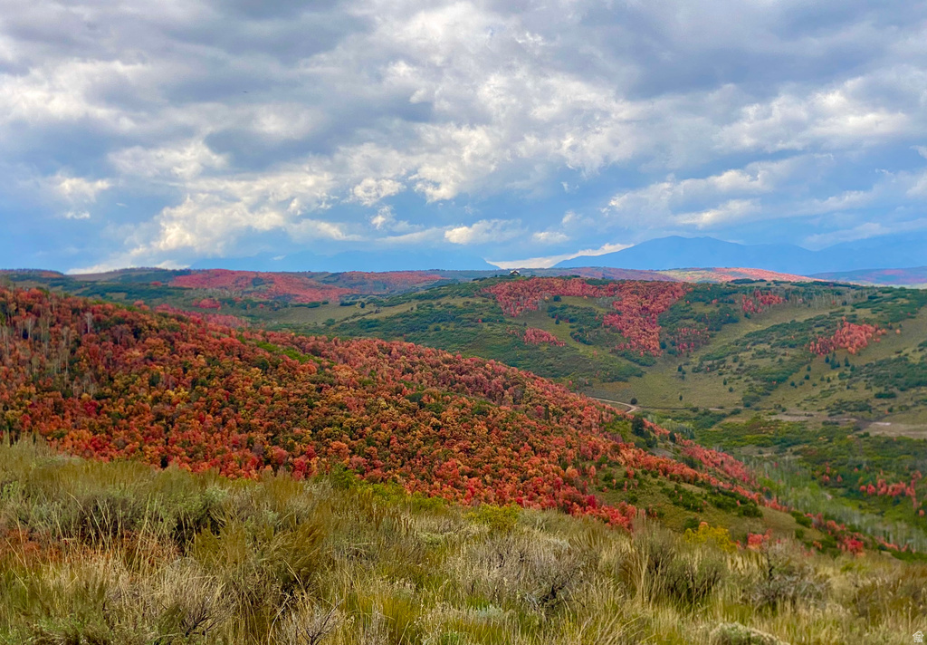  Woodland, UT 84036