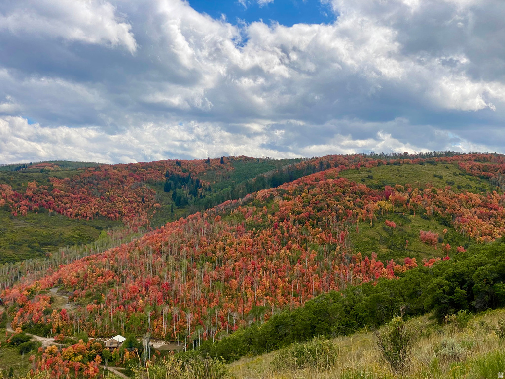  Woodland, UT 84036