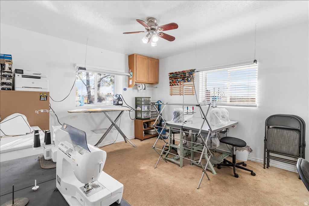 1155 E 6000 N Ephraim, UT 84627