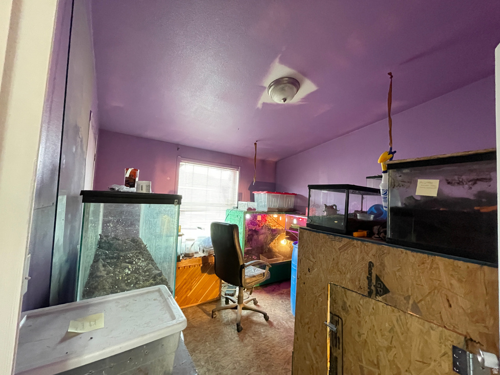 240 E HORSESHOE BEND RD Vernal, UT 84078