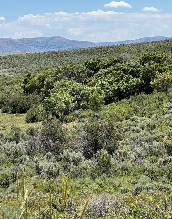 3530 S LONG RIDGE CIR. CIR Garden City, UT 84028