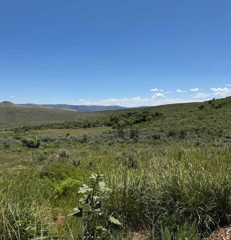 3530 S LONG RIDGE CIR. CIR Garden City, UT 84028