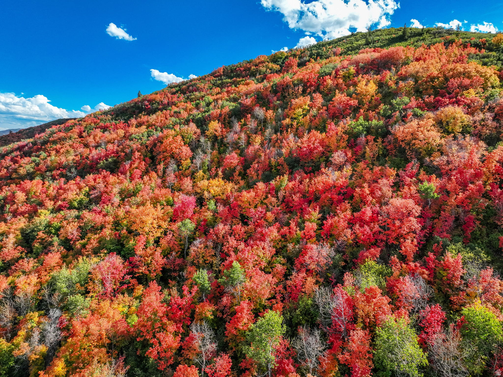 1150  LASSO TRL Hideout, UT 84036