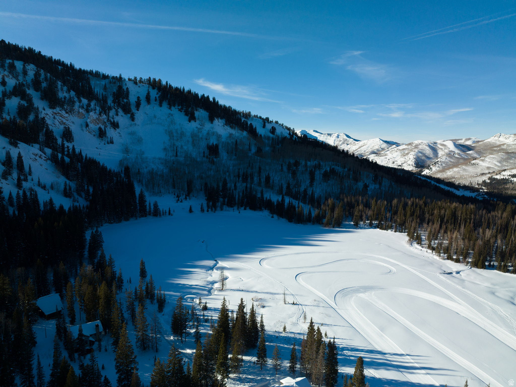 1150  LASSO TRL Hideout, UT 84036