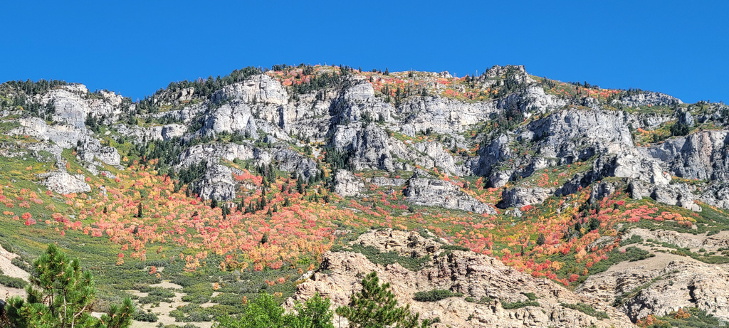 1489 E 1500 N Provo, UT 84604