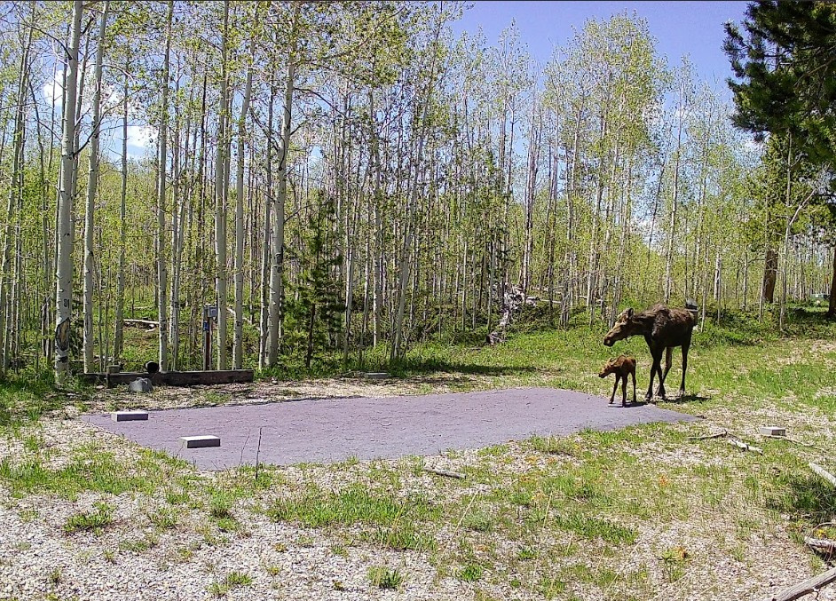 View photos for 1239 Deer Ln 1239 Deer Ln