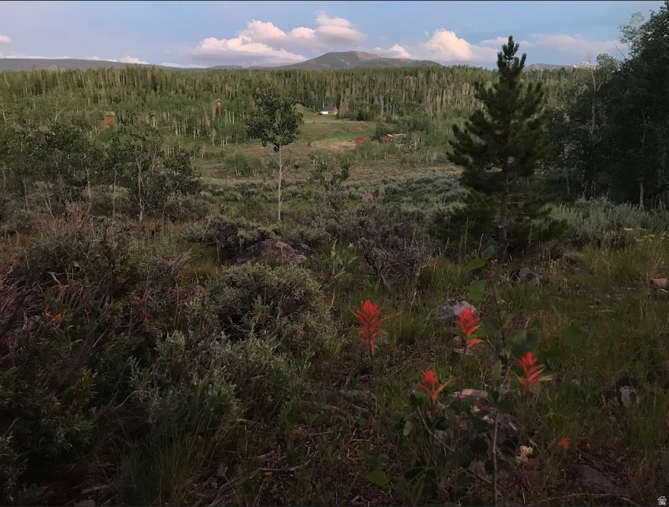 1239  DEER LN Kamas, UT 84036