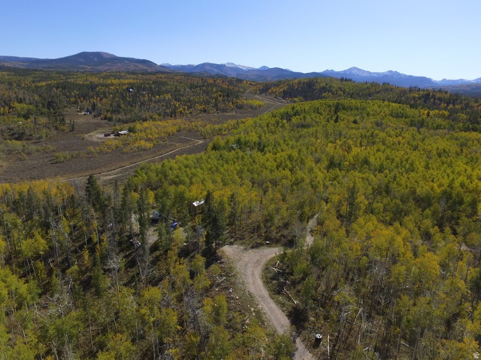 1239  DEER LN Kamas, UT 84036