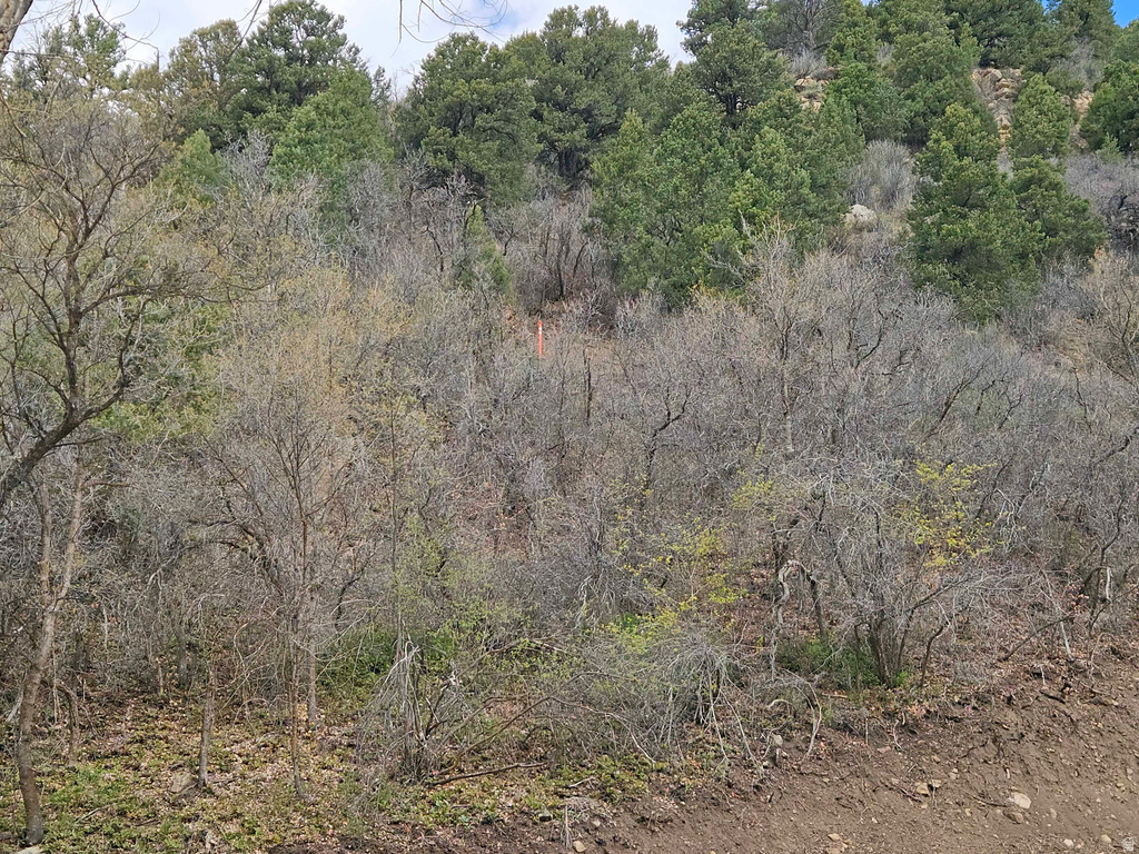 53 S BIRCH CREEK DR Fairview, UT 84629