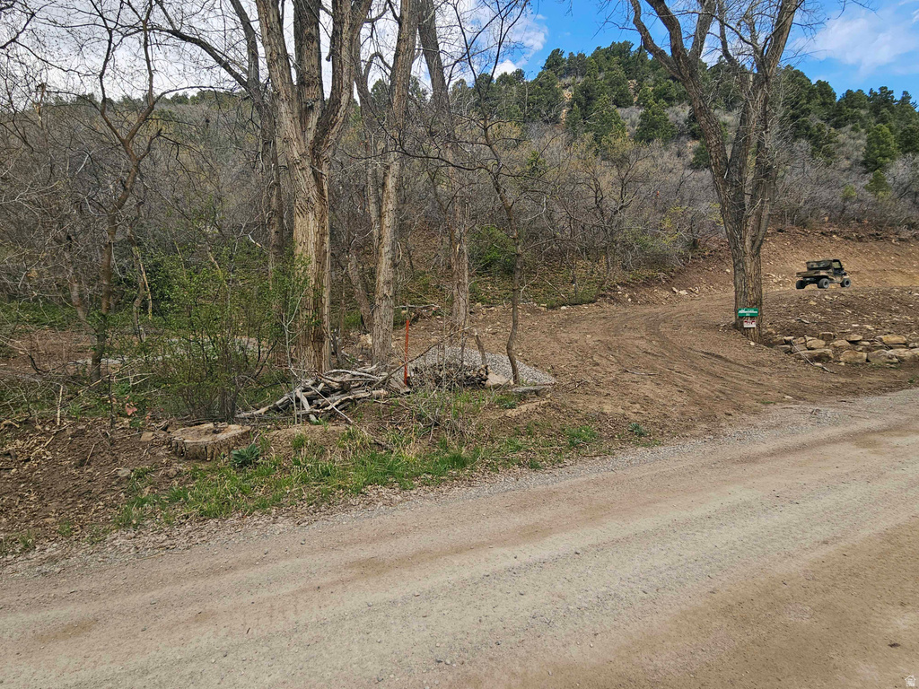 53 S BIRCH CREEK DR Fairview, UT 84629