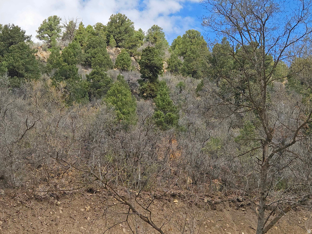 53 S BIRCH CREEK DR Fairview, UT 84629