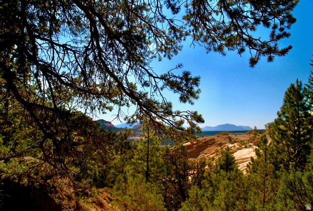 1841 E UPPER HAPPY VALLEY LOOP Teasdale, UT 84773